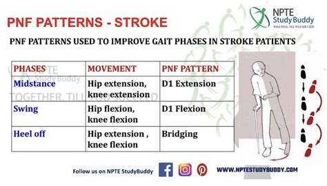 Pnf patterns stroke – Artofit