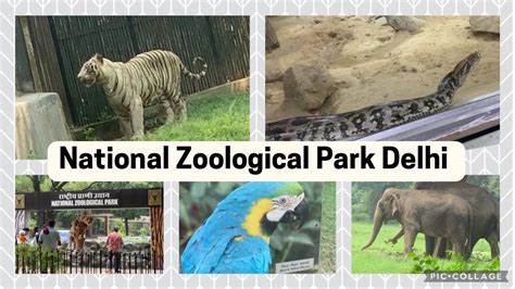 National Zoological Park Delhi Online Ticket Booking Guide Zoo