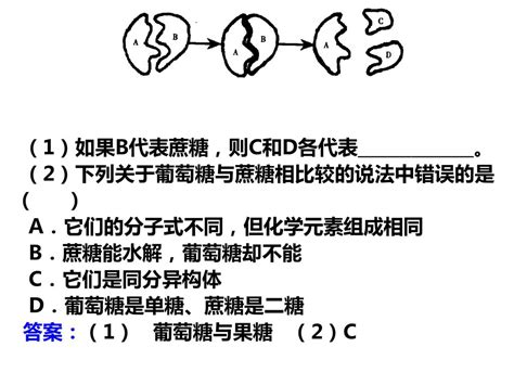 第一章 关注营养平衡 第一节 生命的基础能源——糖类 Carbohydrate 第二课时 Ppt Download