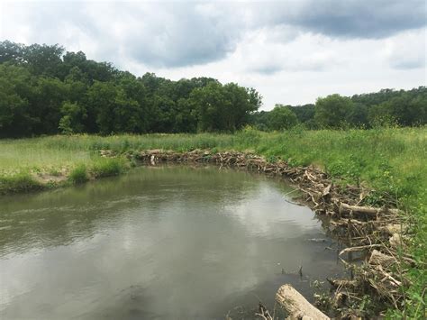 Trout Stream Restoration