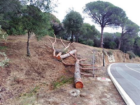 Ajuntament de Sant Vicenç de Montalt L Ajuntament enllesteix la