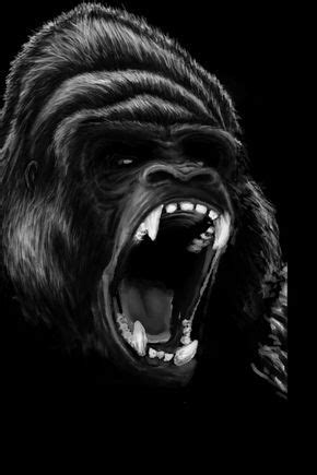 Gorilla Roar by Nevakee7 on DeviantArt | Gorilla, Roar, Animals