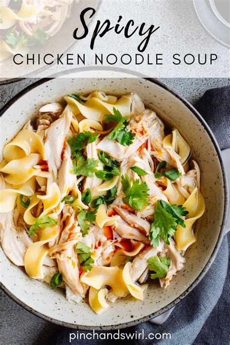 Spicy Chicken Noodle Soup Pinch And Swirl