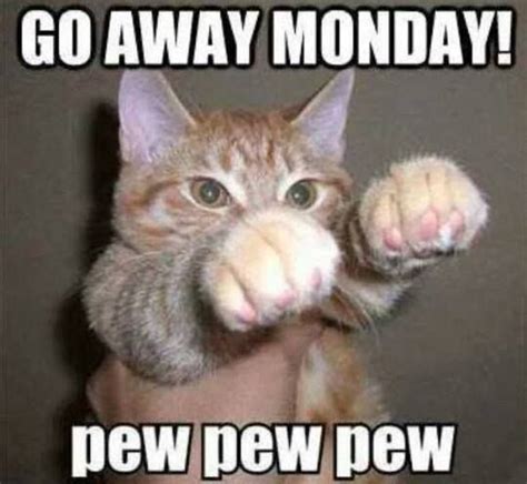 Its Just Another Manic Monday Funny Cat Pictures Funny Animal