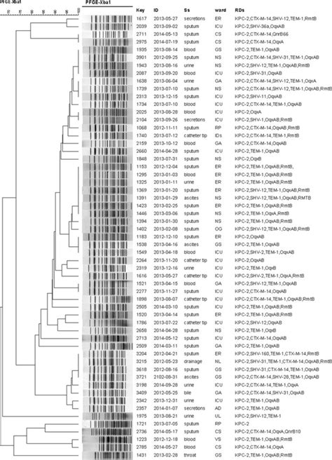 Dendrogram Based On Pfge Profiles Of Kpc Producing K Pneumoniae