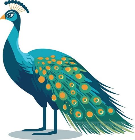 Bird Clipart Peacock Shows Off Colorful Tail Feathers Clip Art