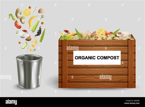 Organic Compost Vector Illustration Bio Waste Decomposition Into