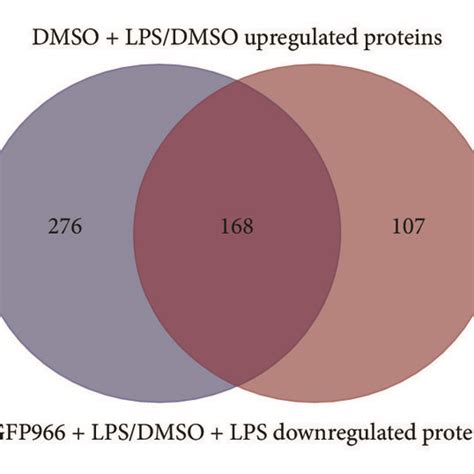 Venn Diagrams Of The Differentially Expressed Proteins Between