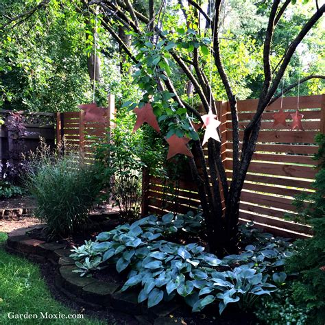 How To Prune a Red Twig Dogwood to Keep It Looking Healthy - Garden Moxie