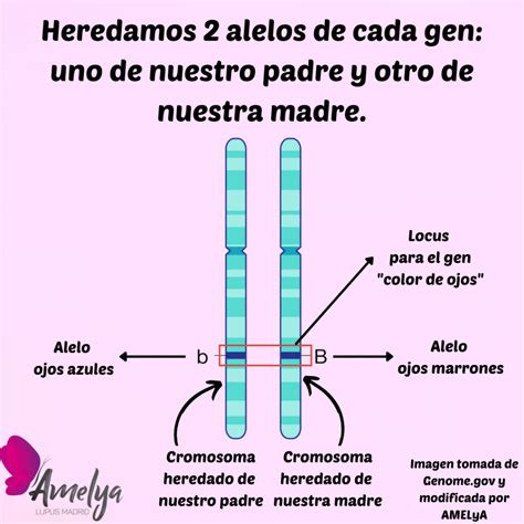 Actualizar Imagen Estructura Del Padre Nuestro Abzlocal Mx