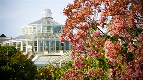 Kom P Rundvisning Blandt Botanisk Haves Sj Ldne Planter