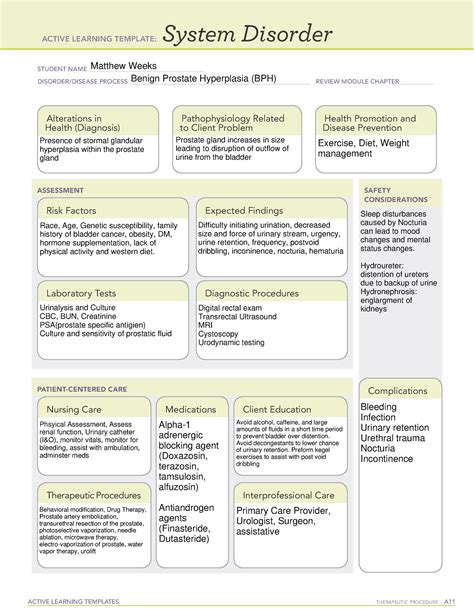 Ati System Disorder Bph Active Learning Templates Therapeutic