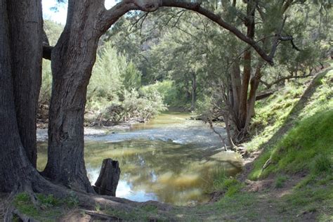 Goulburn River National Park NSW