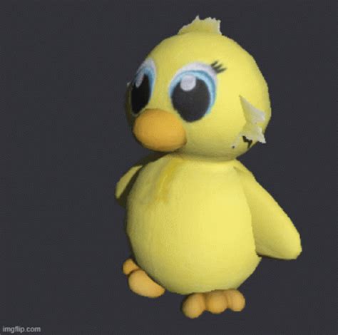 Sqaishey Noot Noot GIF - Sqaishey Noot Noot Kye Garrett - Discover ...