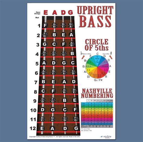 Upright Bass Fingerboard Instructional Poster 4 String Bass Notes Chart Nashville