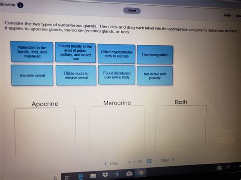 Solved Review Saved Help Sev Consider The Two Types Of