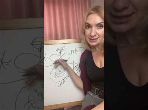 Дигесториум. при чем тут Папайя? - YouTube