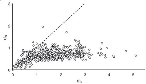 Relationship Between Pairwise D N Rate Of Non Synonymous Download