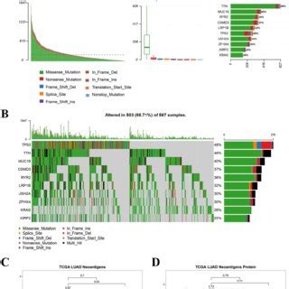 The Landscape Of Immune Infiltration In Luad And Lusc A Immune Cell