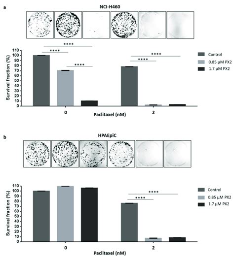 Pyranoxanthone 2 Px2 Treatment Enhances Paclitaxel Mediated