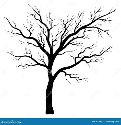 Bare Tree Silhouette Stock Illustrations – 3,129 Bare Tree Silhouette ...