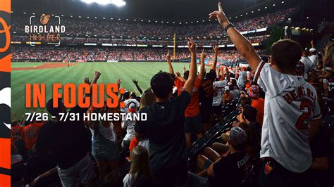 Birdland Insider In Focus Homestand Baltimore Orioles