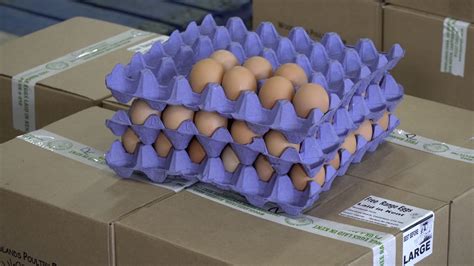 Kent Farmer Says Rising Production Costs Are Causing Egg Shortages