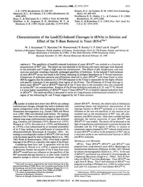 Characterization Of The Lead II Induced Cleavages In TRNAs In Solution