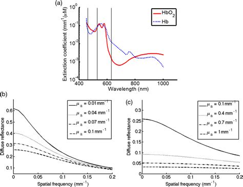 A Absorption Spectra Of Oxy Hemoglobin Hbo 2 And Deoxy Hemoglobin Download Scientific