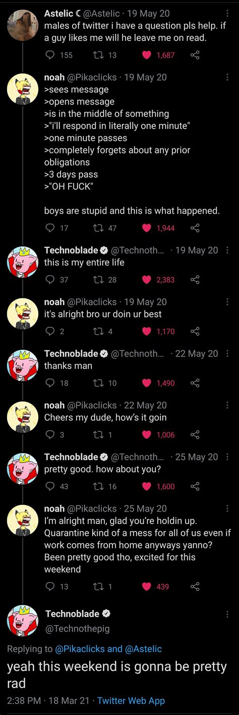 Why Meowbahh Technoblade videos shocked the entire community 32