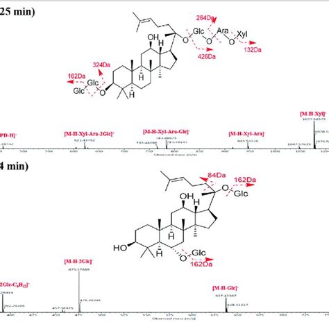 Structural Elucidation Of Ginsenoside Ra2 And Rg1 Based On The