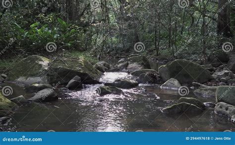 Hermosas Cascadas Tropicales En Una Selva Tropical Profunda Metrajes