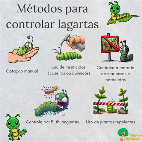 Acabe As Lagartas Nas Plantas Usando M Todos Naturais