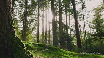 Asmr Porn Tube Video Clips Clips Sale