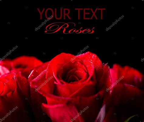 Red Rose Flower isolated on Black background Stock Photo by ©Subbotina ...