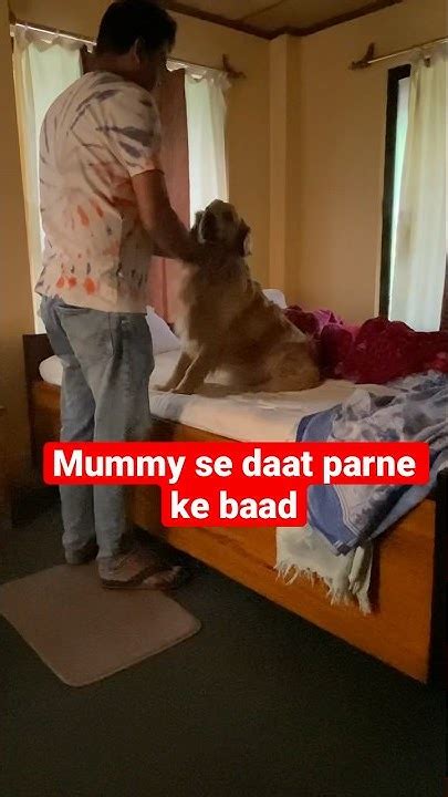 Mummy Se Jhar Khane Ke Baad 🤣🤣 Shorts Funnypetvideos Trending Youtube