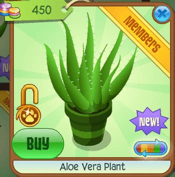Animal Jam Spirit Blog: Aloe Vera Plant and 200 Diamond Beanbag?