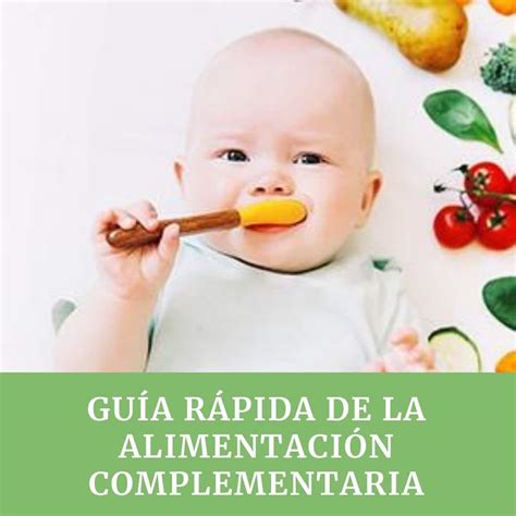 Guía Rápida De La Alimentación Complementaria Xicotets Centros De