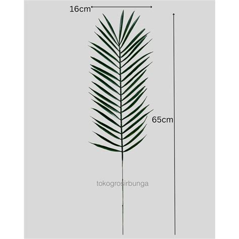 Jual Daun Pakis Plastik Jumbo Satuan Shopee Indonesia