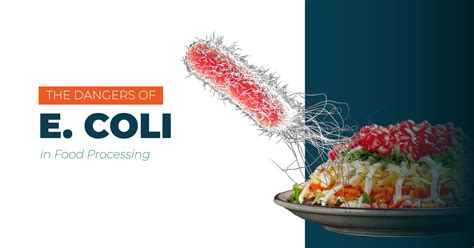 Food Safety The Dangers Of E Coli In Food Processing ORAPI Asia