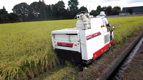 稲刈り Rice Harvesting In Japan Youtube