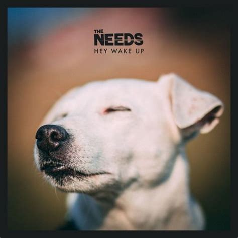 The Needs Hey Wake Up Wake Wake Up Soundcloud