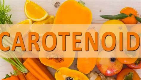 Carotenoid Gồm Những Loại Nào Công Dụng Và Thực Phẩm Chứa Carotenoid