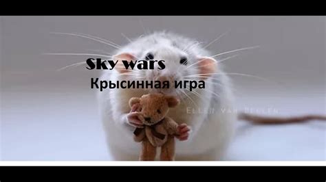 Крысиная игра №2. Быстрая катка - YouTube