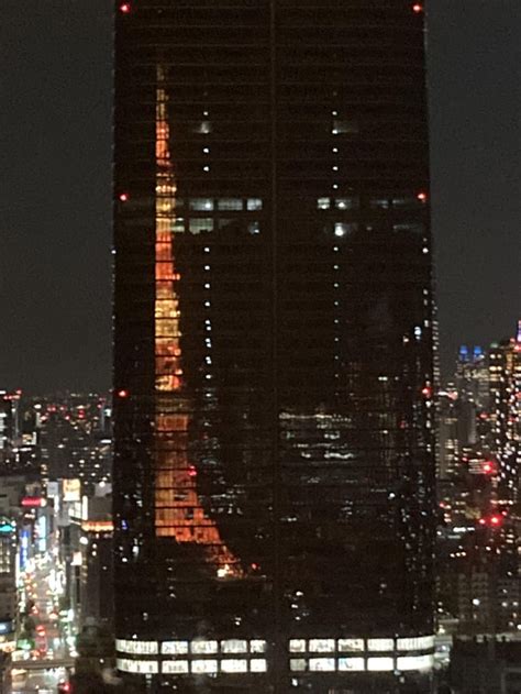 Tokyo tower 🗼 from inside Tokyo tower 🗼 : r/japanpics