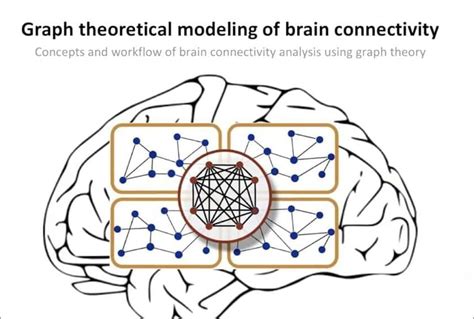 Introduction to Brain Network Analysis — Part 2/2