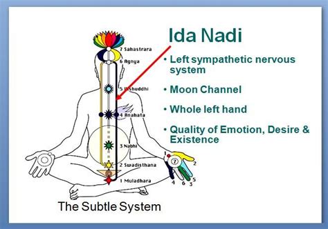 KUNDALINI CHANNELS - Intuitive Tantra