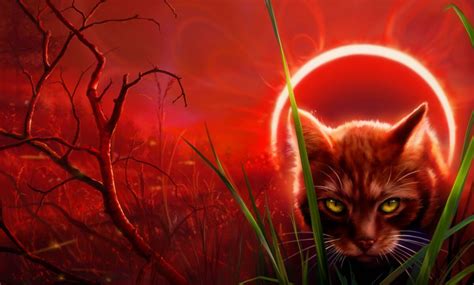 Firestar Wallpapers Top Free Firestar Backgrounds Wallpaperaccess