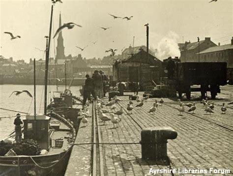 picture  ayr harbour ayr photo paris skyline