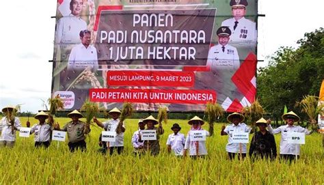 Pemprov Lampung Dan Pemkab Mesuji Gelar Panen Padi Nusantara 1 Juta